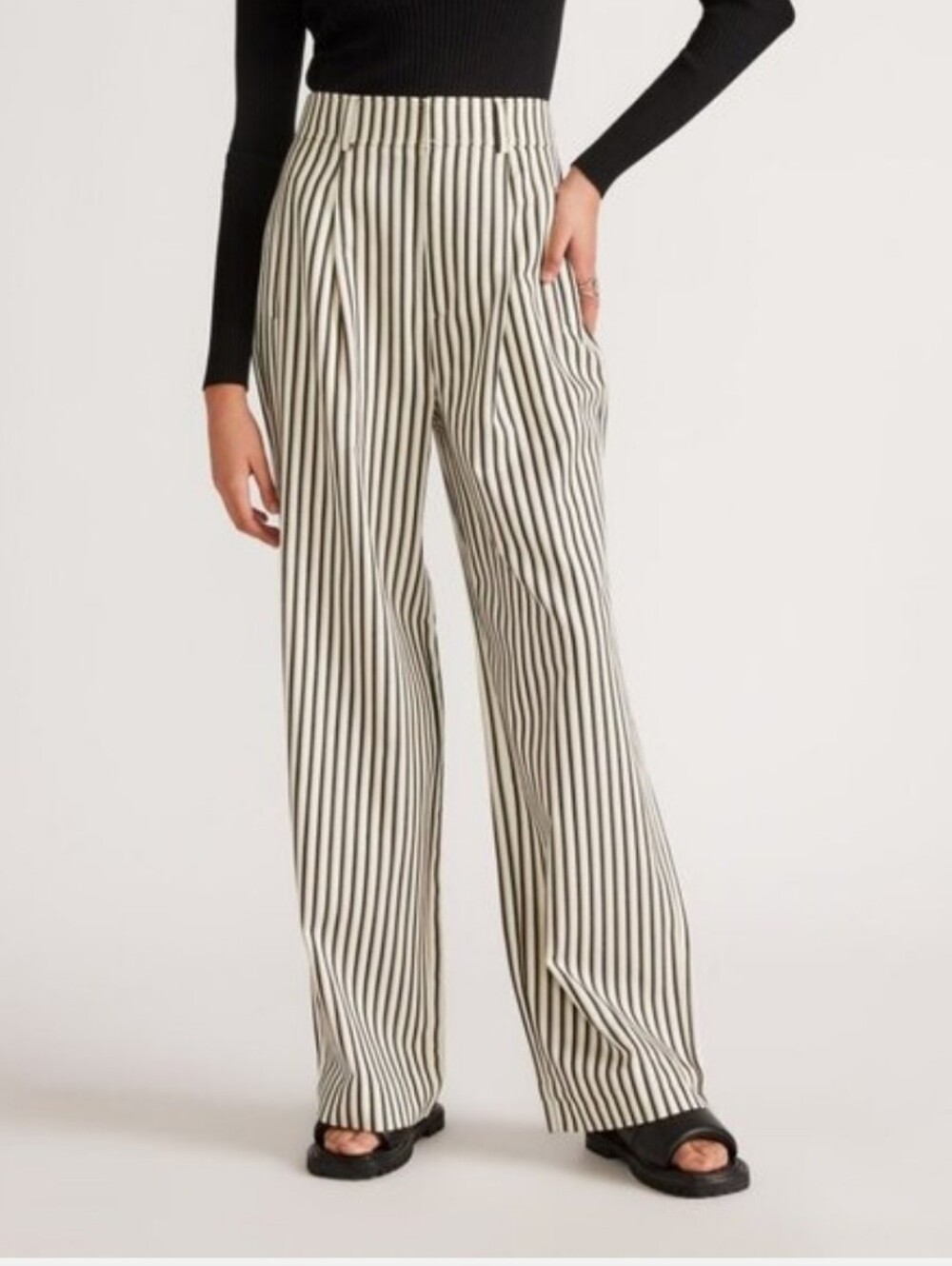 Everlane Draper Pleated Paint in Buttersmooth Stripes Wide Leg Women's 10